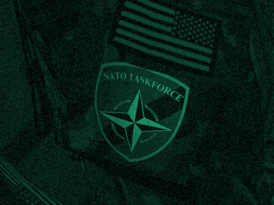 Stand for the Flag boys