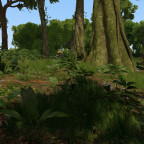 Ein paar aufnahmen aus 2025