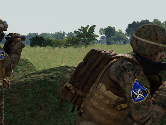 ROC Operation Philippine Raid